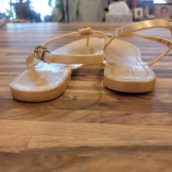 NWOT Coach Phila Golden Champagne T Strap Thong Jelly Sandals - Picture 12 of 15